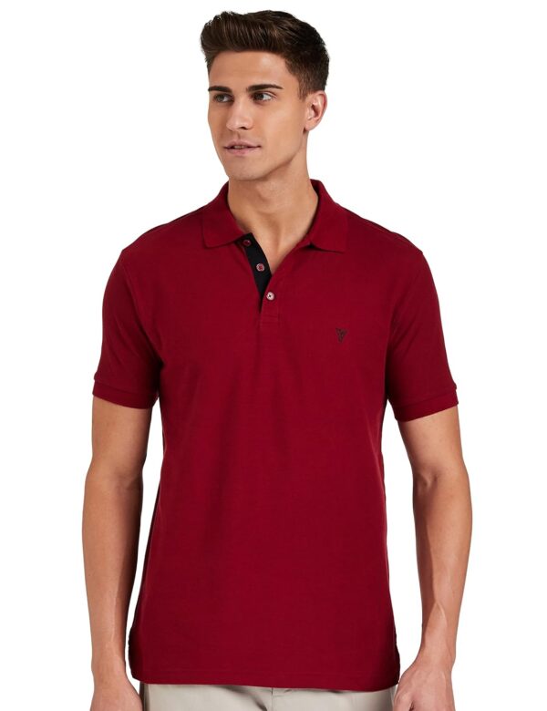 Van Heusen Men's Solid Regular Fit Polo (60032_Wine S)