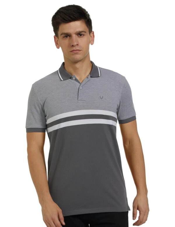 Allen Solly Men Polycotton Regular Fit Color Blocked Polo