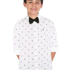 Allen Solly Boy's Cotton Regular Fit Shirt